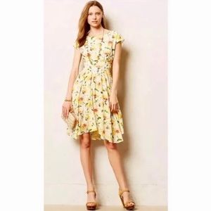 Anthropologie Lil Matilija Floral Dress